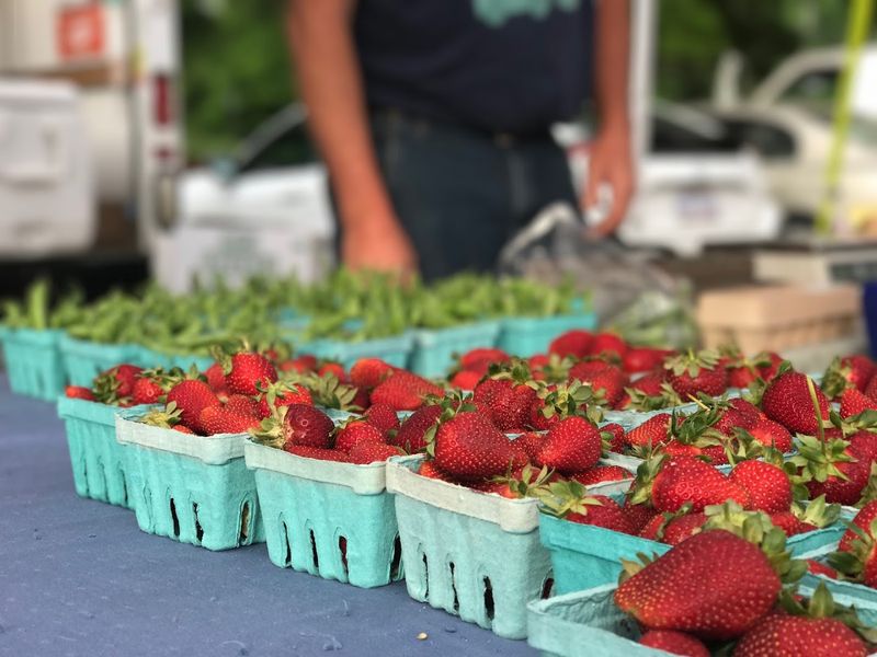 Chapel Hill Farmers&rsquo; Market