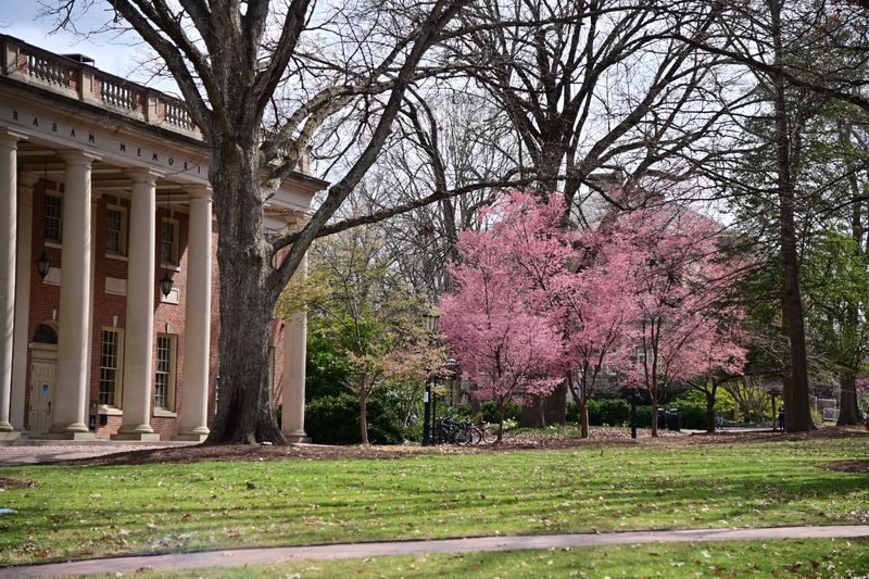 Chapel Hill 