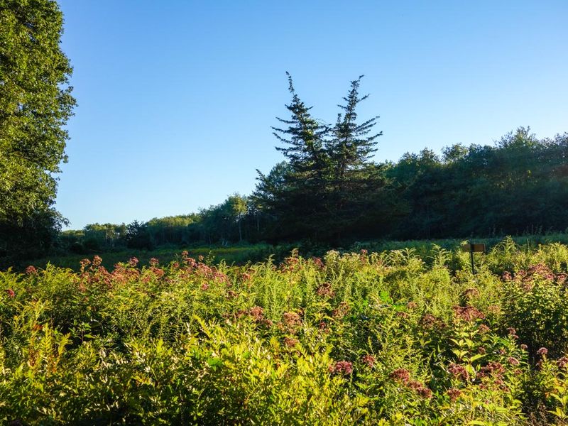 Denison Pequotsepos Nature Center 