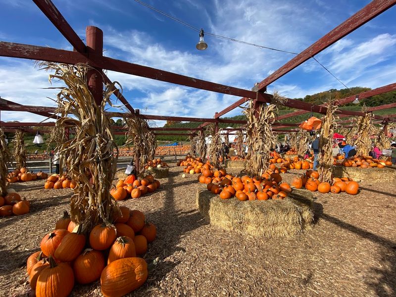 Silverman's Farm