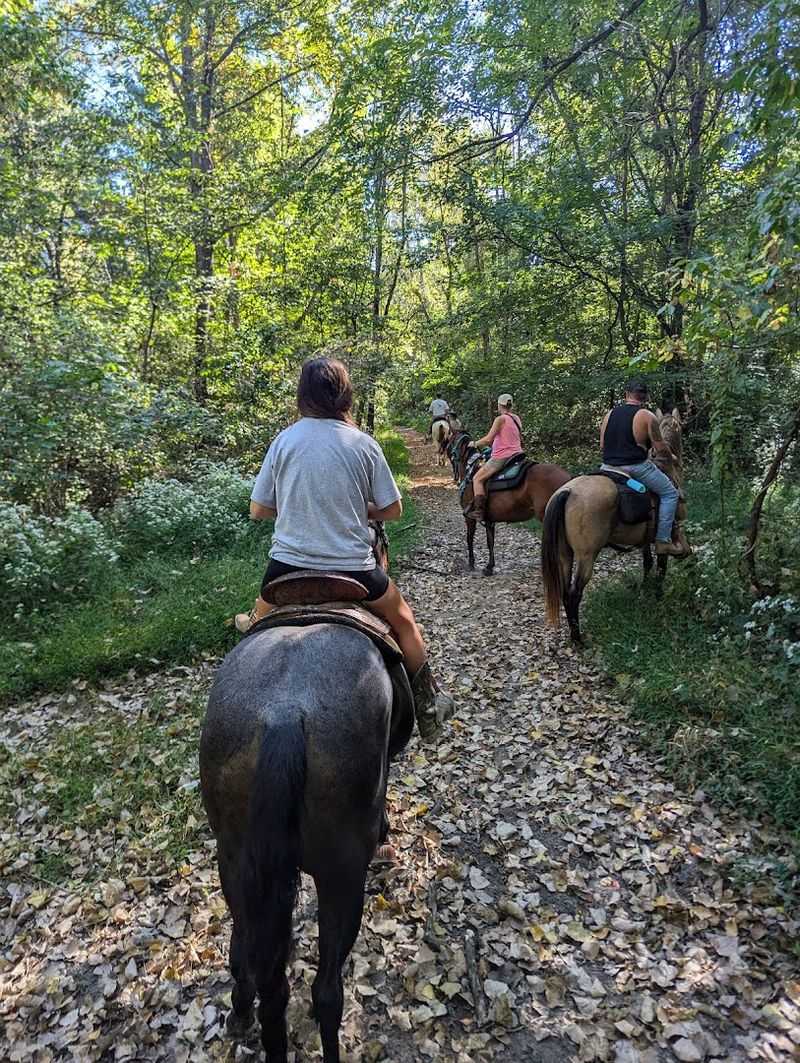 Hueston Woods State Park