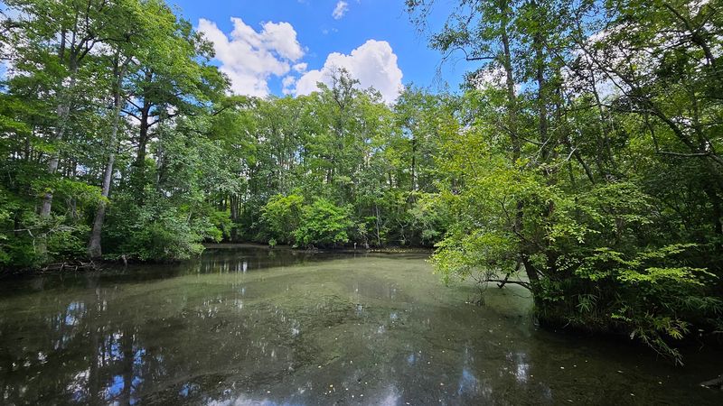 Windsor, Bertie County