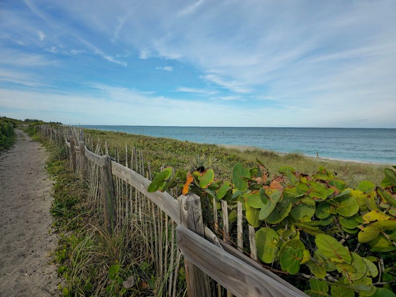 Trails, Mangroves, And A Quieter Side