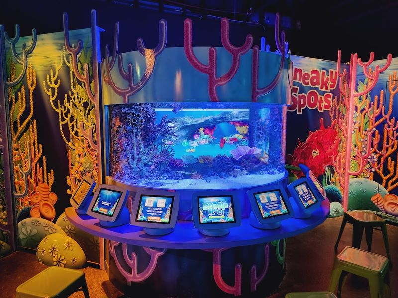 Kid-Friendly Play Areas and Interactive Zones