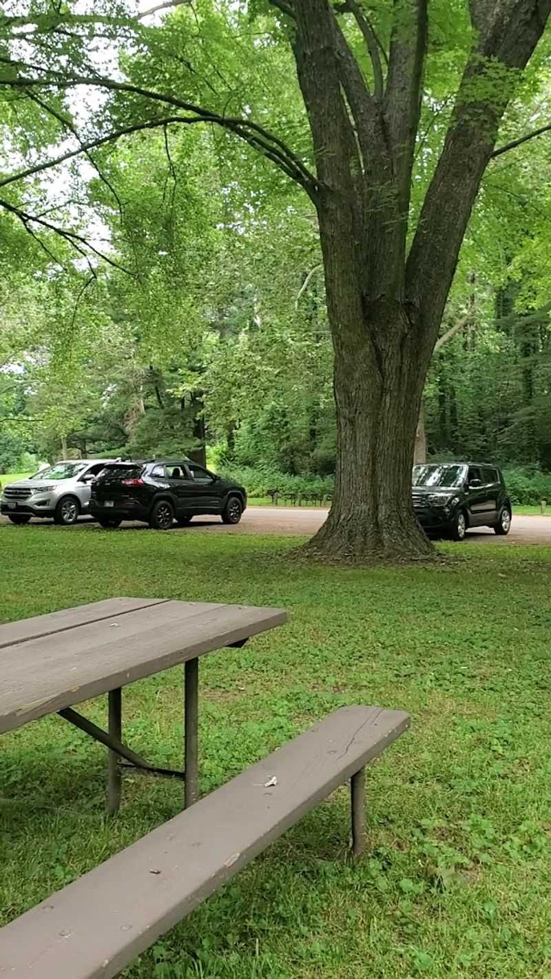 Scenic Picnic Spots and Gathering Areas