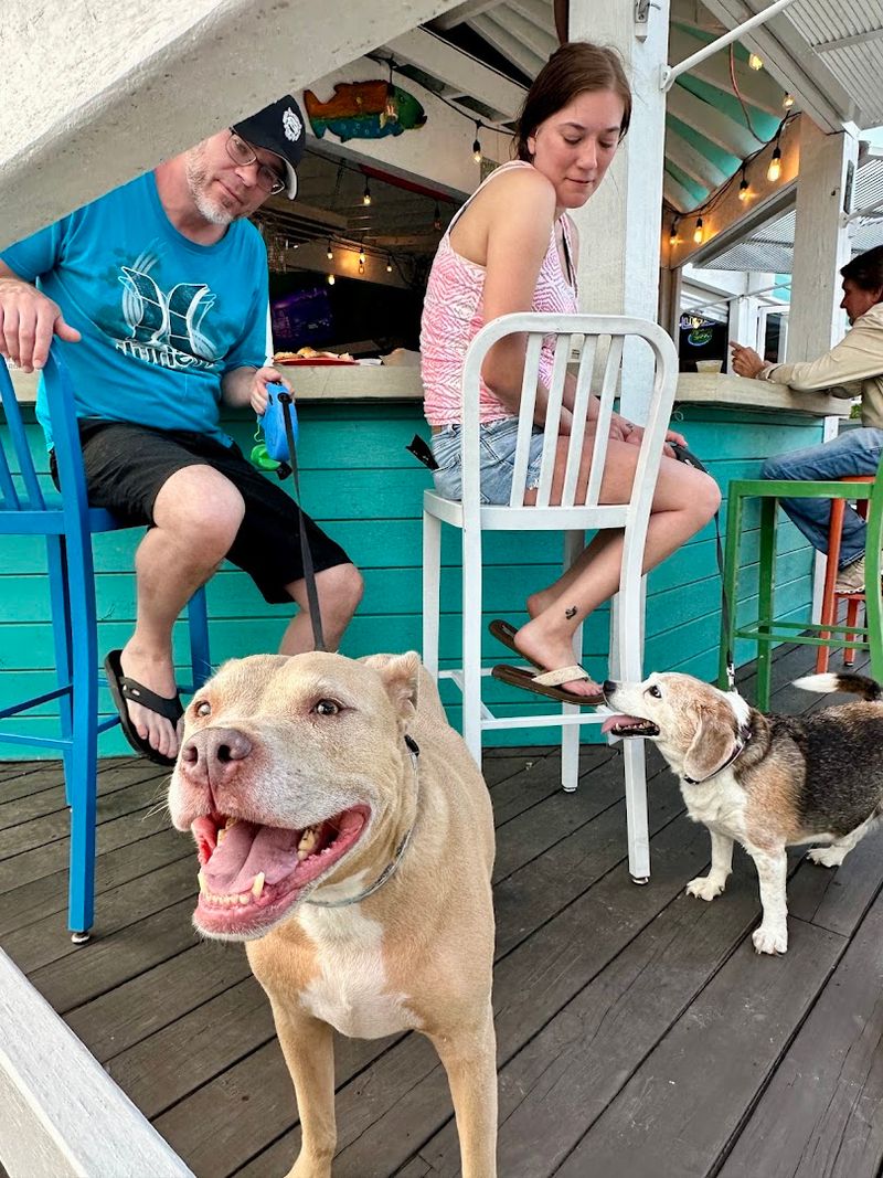 Krazyfish Grille (Port St. Joe)
