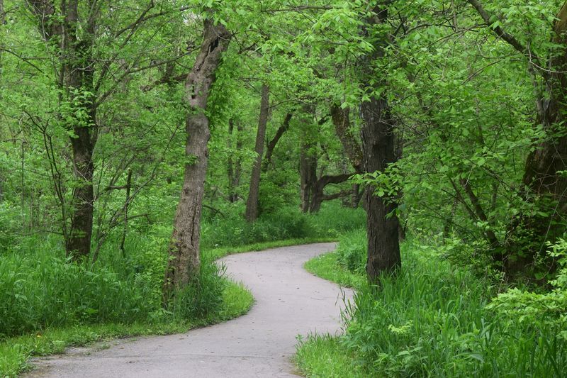 Creekside Nature Park &ndash; Hidden Natural Retreat