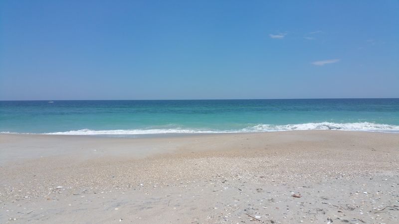 Masonboro Island Reserve 