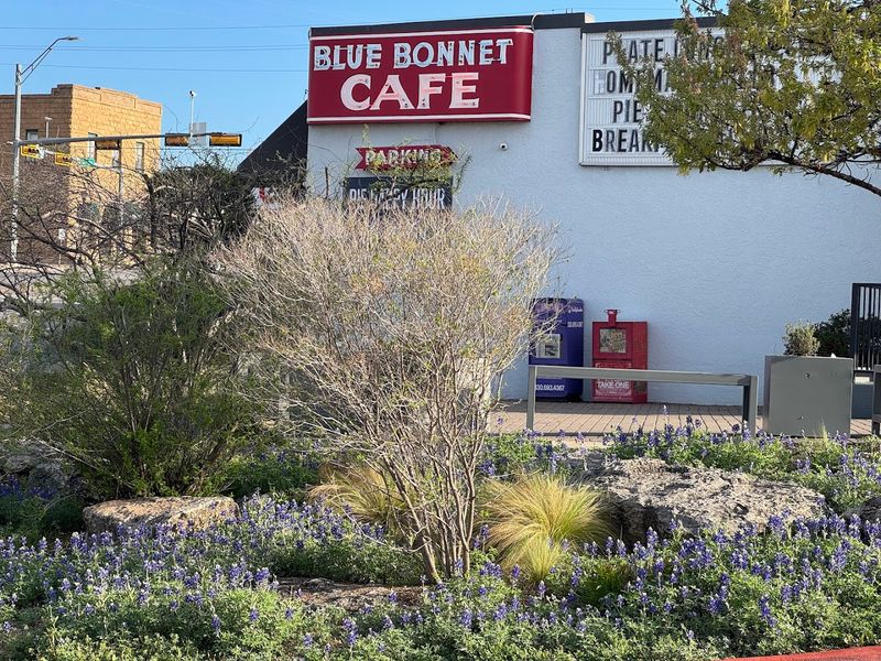 Blue Bonnet Cafe – Marble Falls, TX