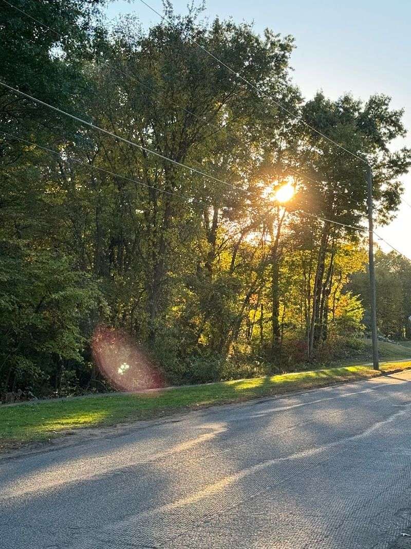 Farmington River Trail 