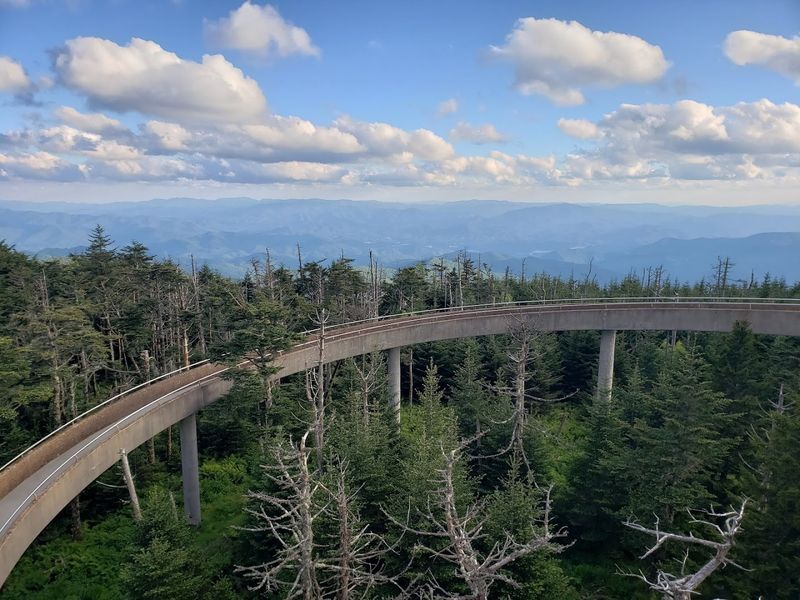 Clingmans Dome Observation Tower Trail (NC access) 