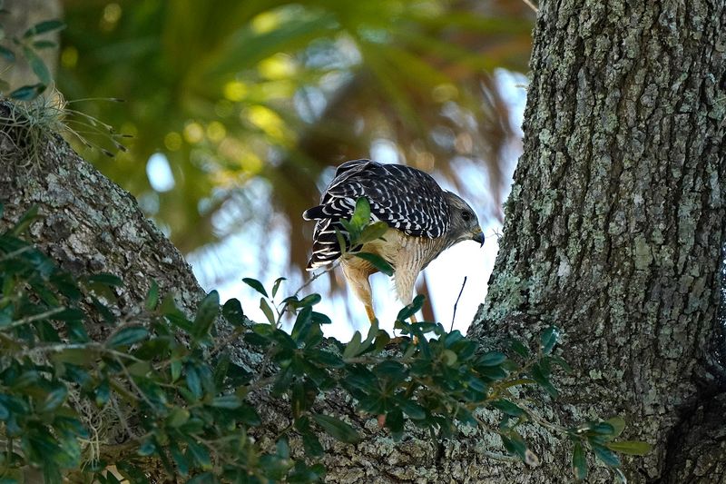 Premier Birdwatching Destination