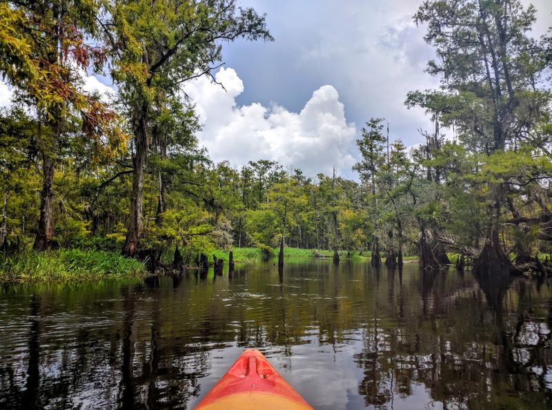 Meandering Through Untouched Waterways