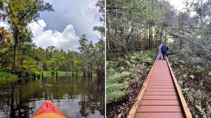 Explore Florida&rsquo;s Wild Prairie By Paddle Instead Of Foot On This Scenic Trail