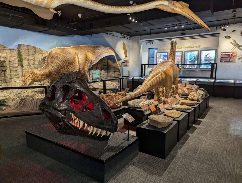 Discover Local Stories at the Museum Learning Center