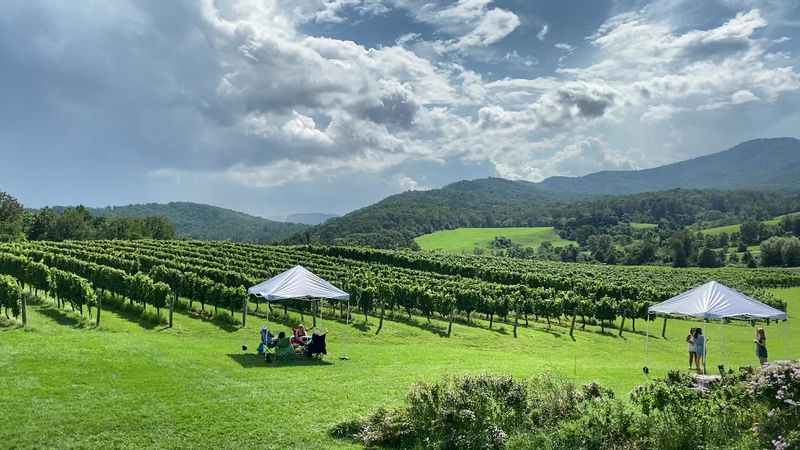 Pippin Hill Farm & Vineyards (North Garden)
