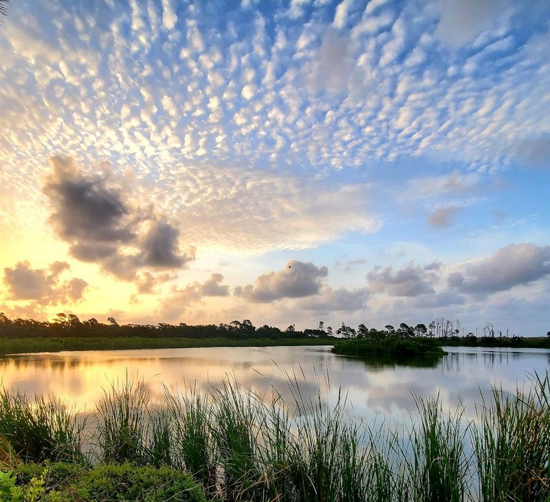 St. Andrews State Park - Panama City Beach