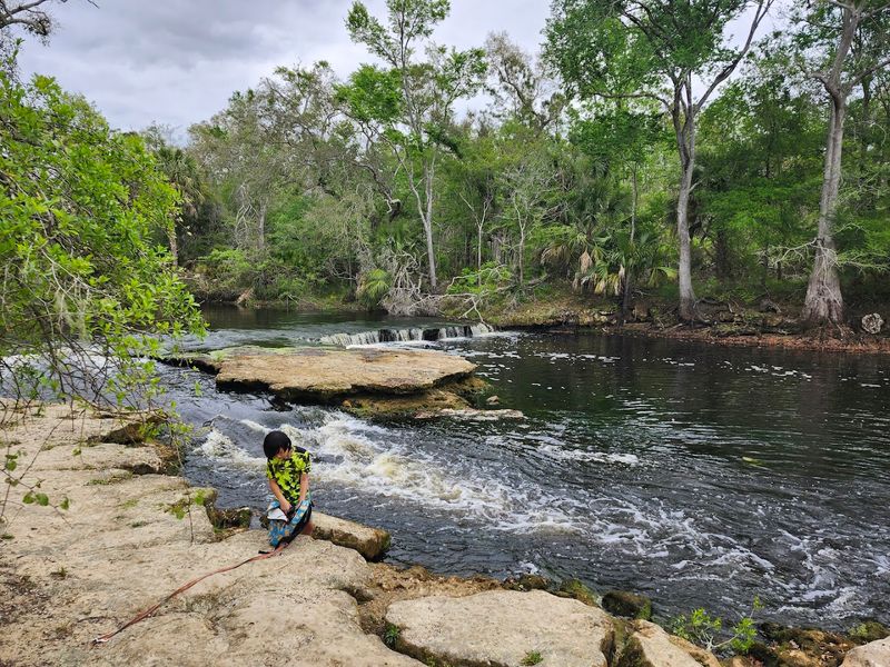 Steinhatchee Falls &mdash; Florida's Widest Waterfall