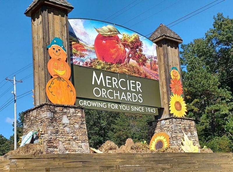 Mercier Orchards Flower U-Pick