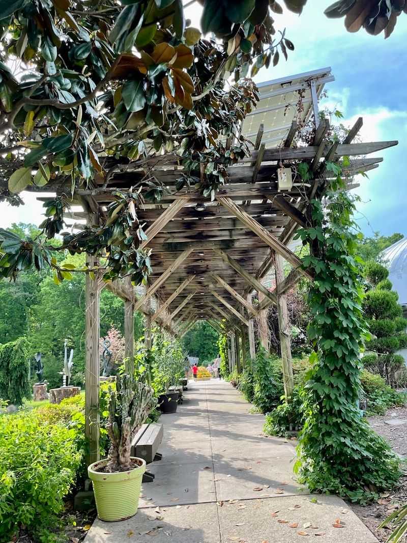 Krohn Conservatory (Cincinnati)