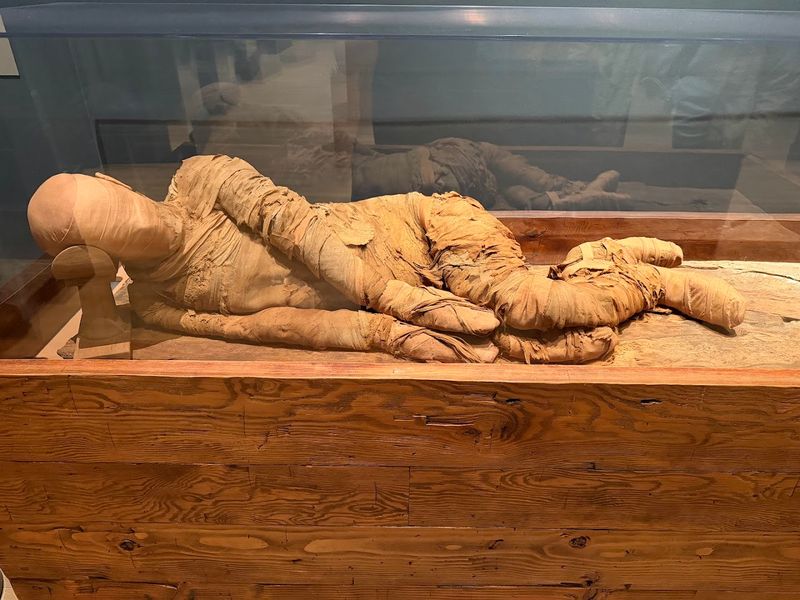 Michael C. Carlos Museum