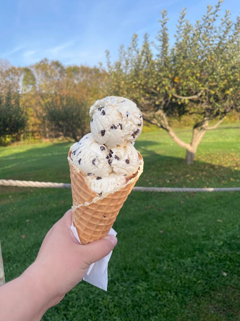 Rich Farm Ice Cream