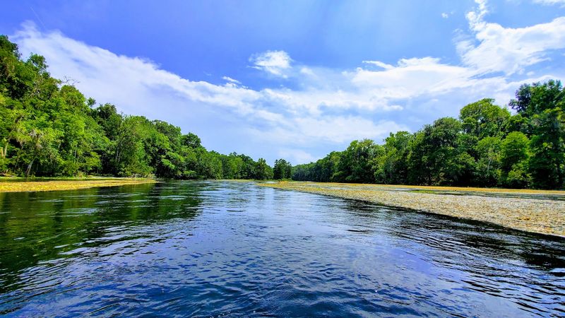 Ichetucknee Springs State Park Overview
