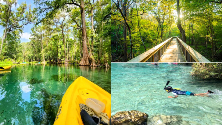 Few Places In Florida Feel As Refreshing And Pure As This Crystal River Escape