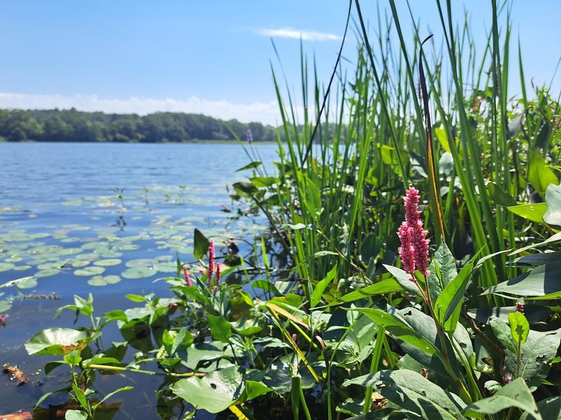 Punderson State Park - Newbury, Geauga County