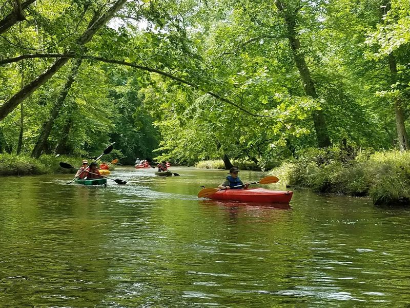 Pocahontas State Park Adventure Area