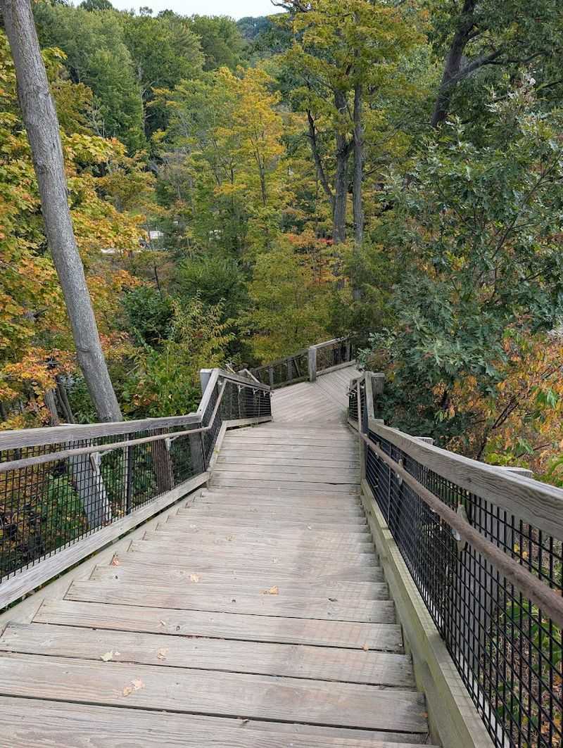 The Trail Down To The Rocks