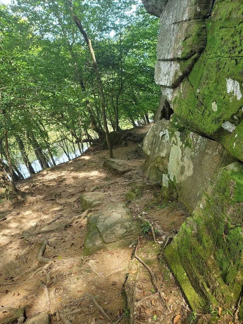 Shaded Hardwood Forest Trails