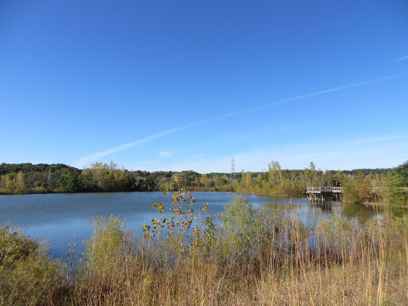 Millennium Park Lake