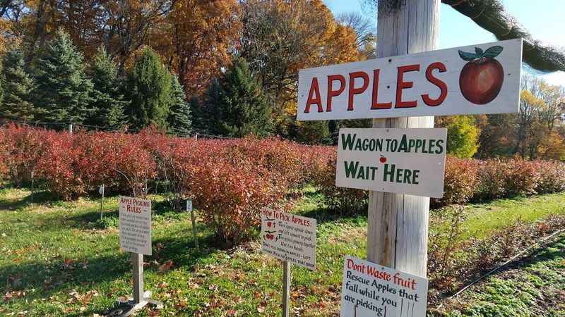 Solebury Orchards - New Hope, Bucks County
