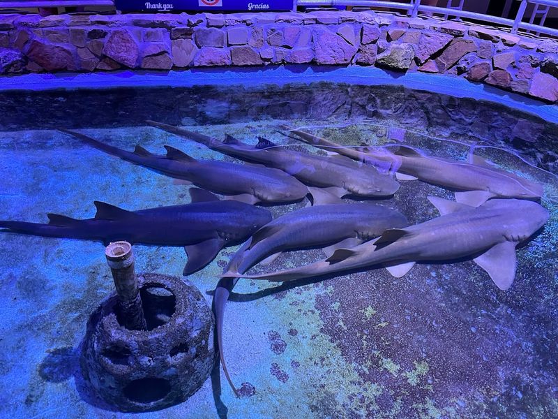 Key West Aquarium