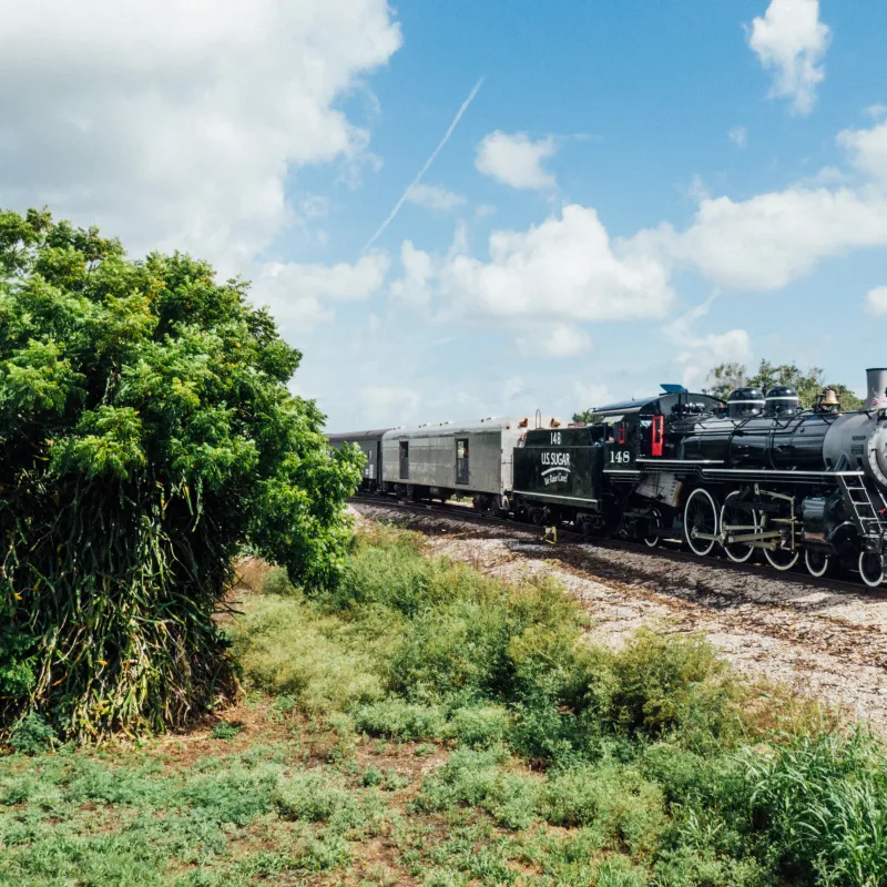 Sugar Express