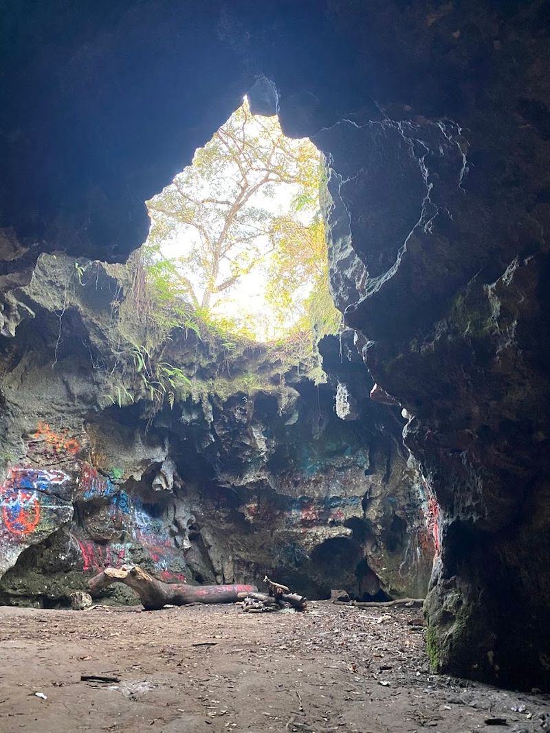 The Karst Landscape That Created Florida's Hidden Caves