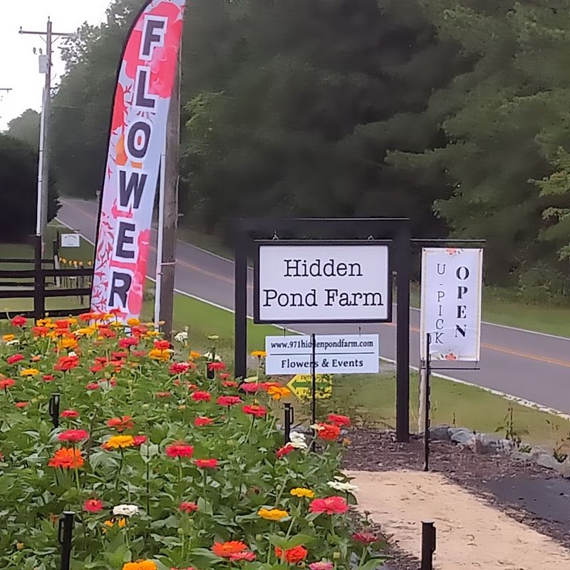 Hidden Pond Farm
