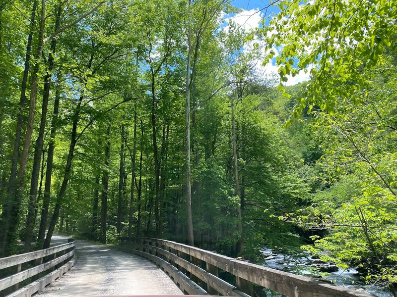 Middle Prong Trail