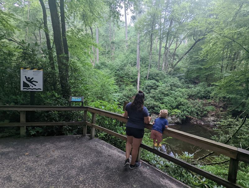 Delaware State Forest