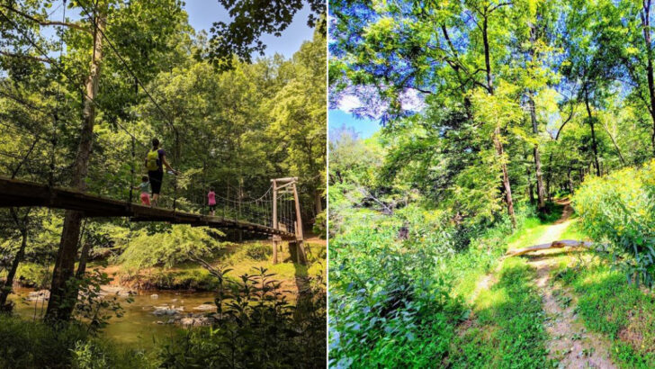 Forest Paths That Follow Gentle Flowing Water Through Peaceful Scenery In North Carolina