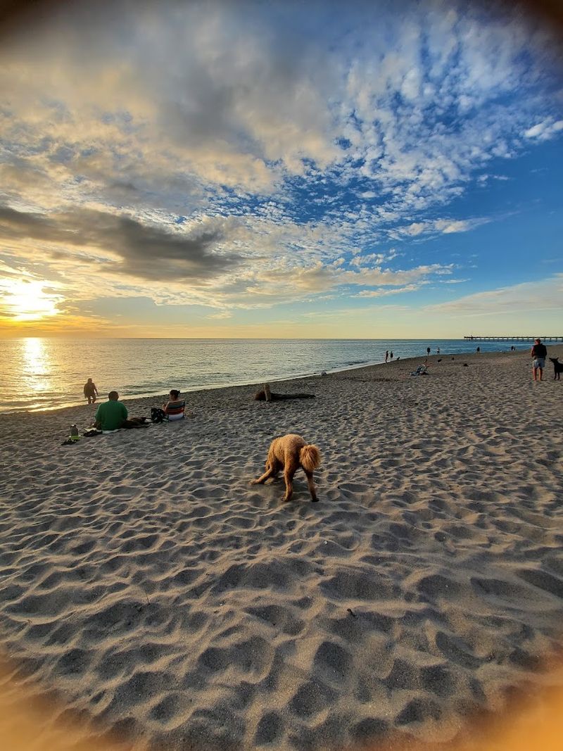 Brohard Beach and Paw Park (Venice)