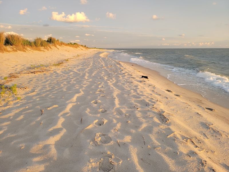 Tangier Island Beaches