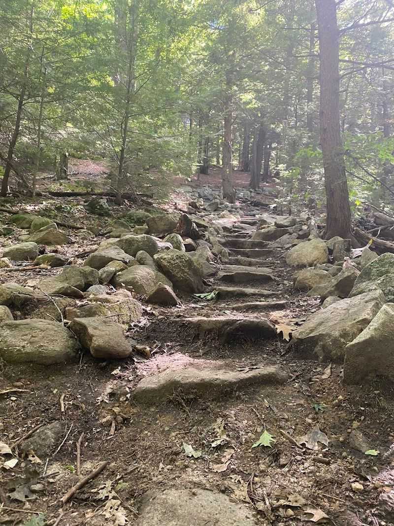 Mount Watatic Trail 