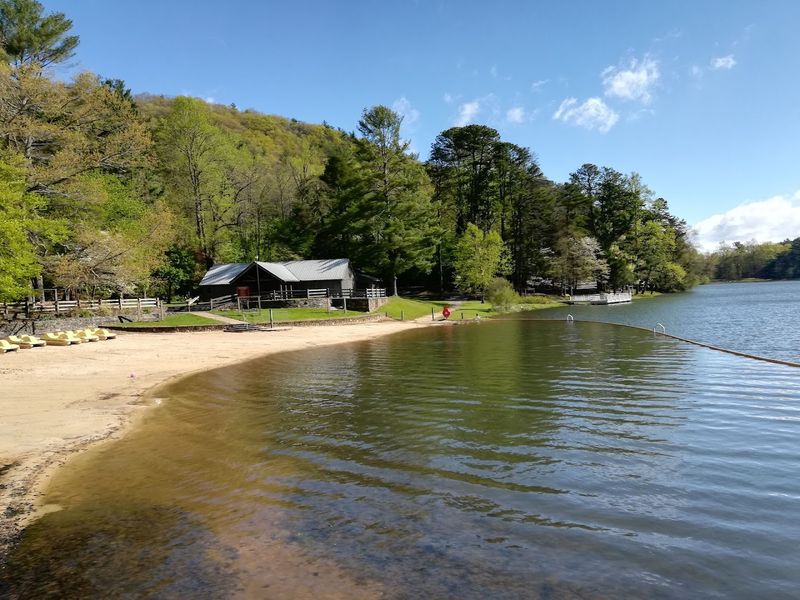 Vogel State Park Beach
