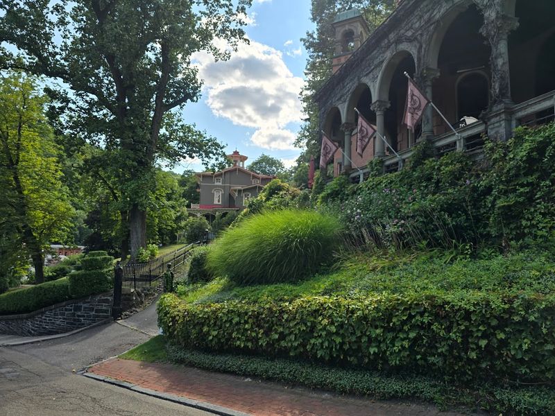 Visitor Information (Hours, Tours, Tips)