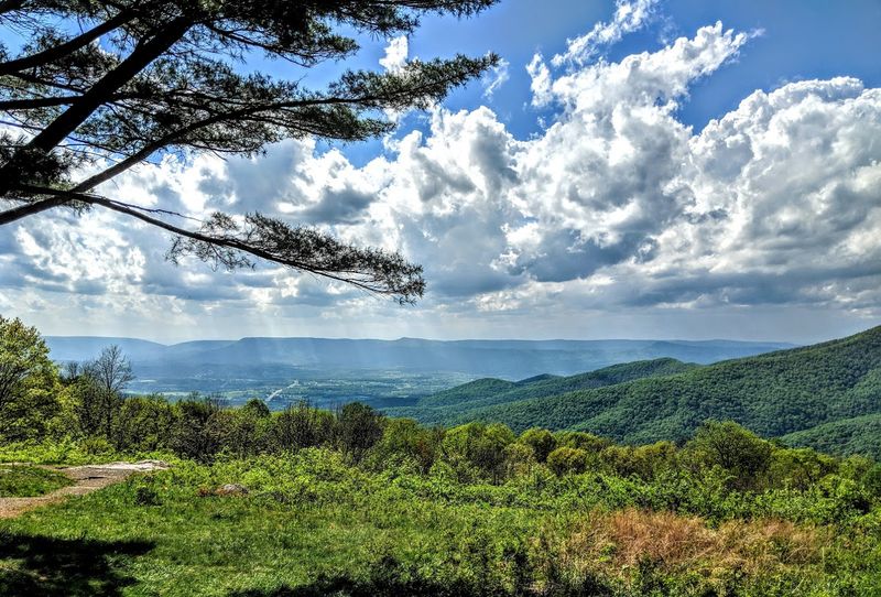Harrisonburg, Rockingham County