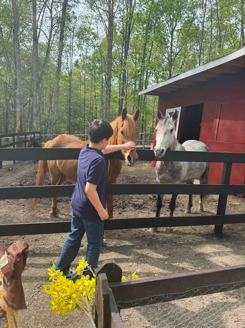 Ohana Fun Farm (Ruther Glen)