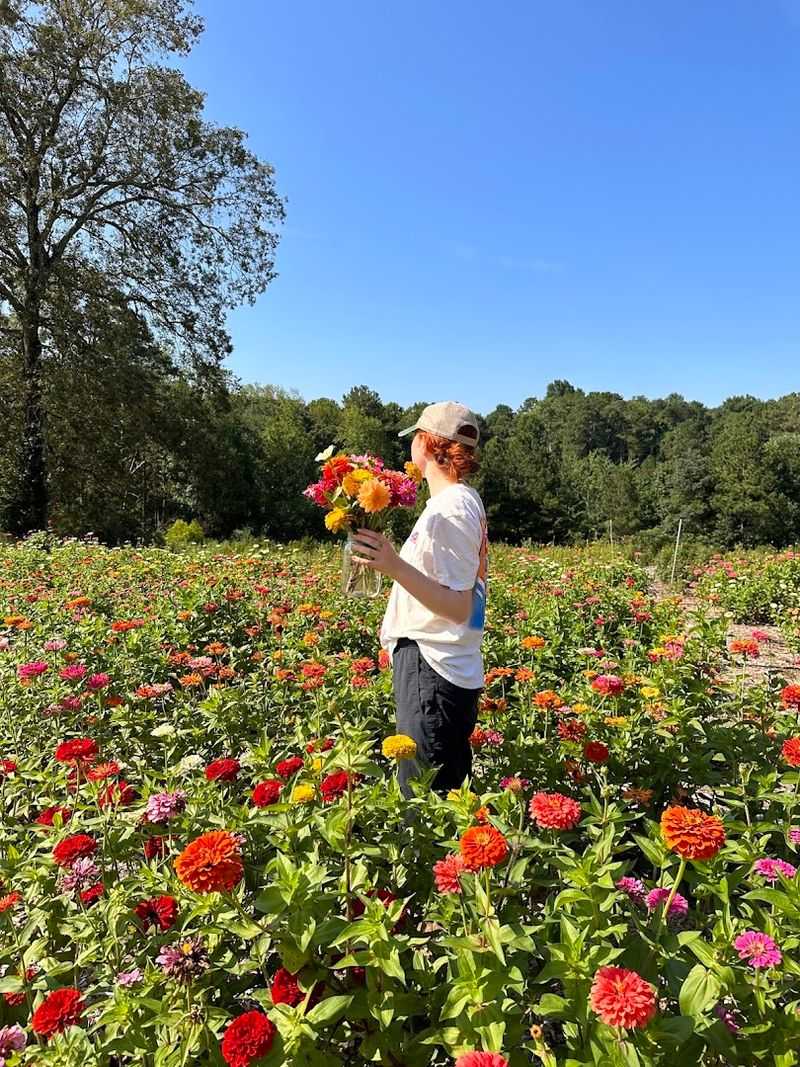 Lanier Nursery & Gardens