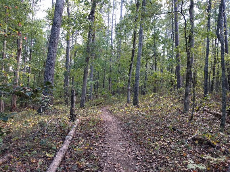 Hard Labor Creek State Park 